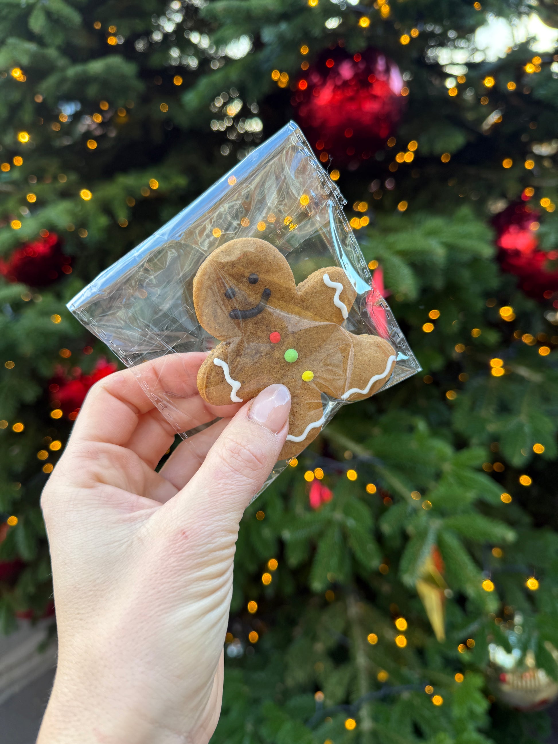 Decorated gingerbread man biscuit from BKRY Reading