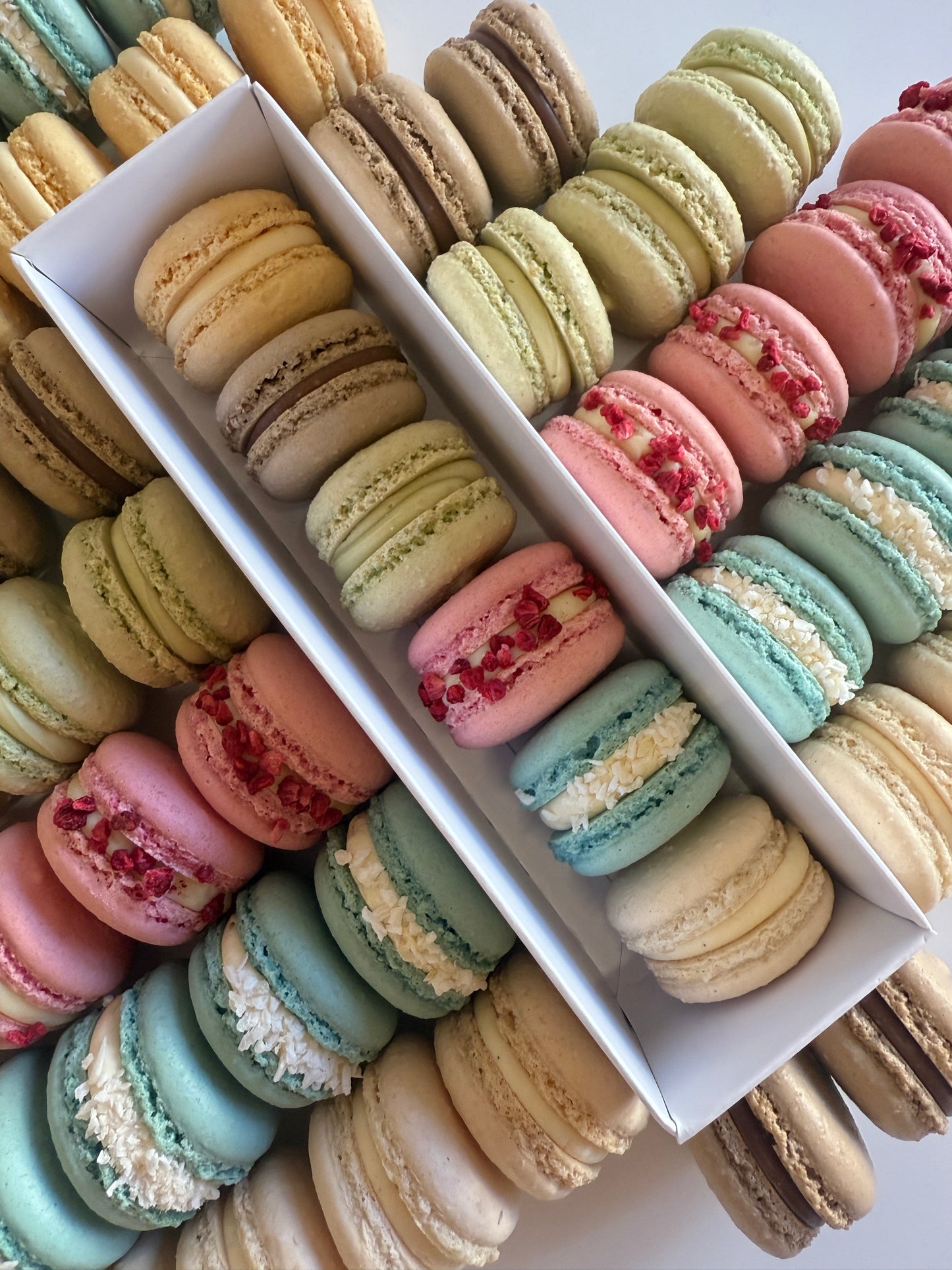 Christmas Macaron Box