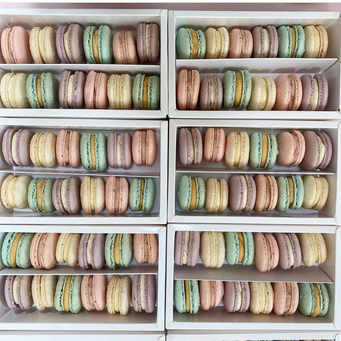 Mixed Box Macaron Boxes