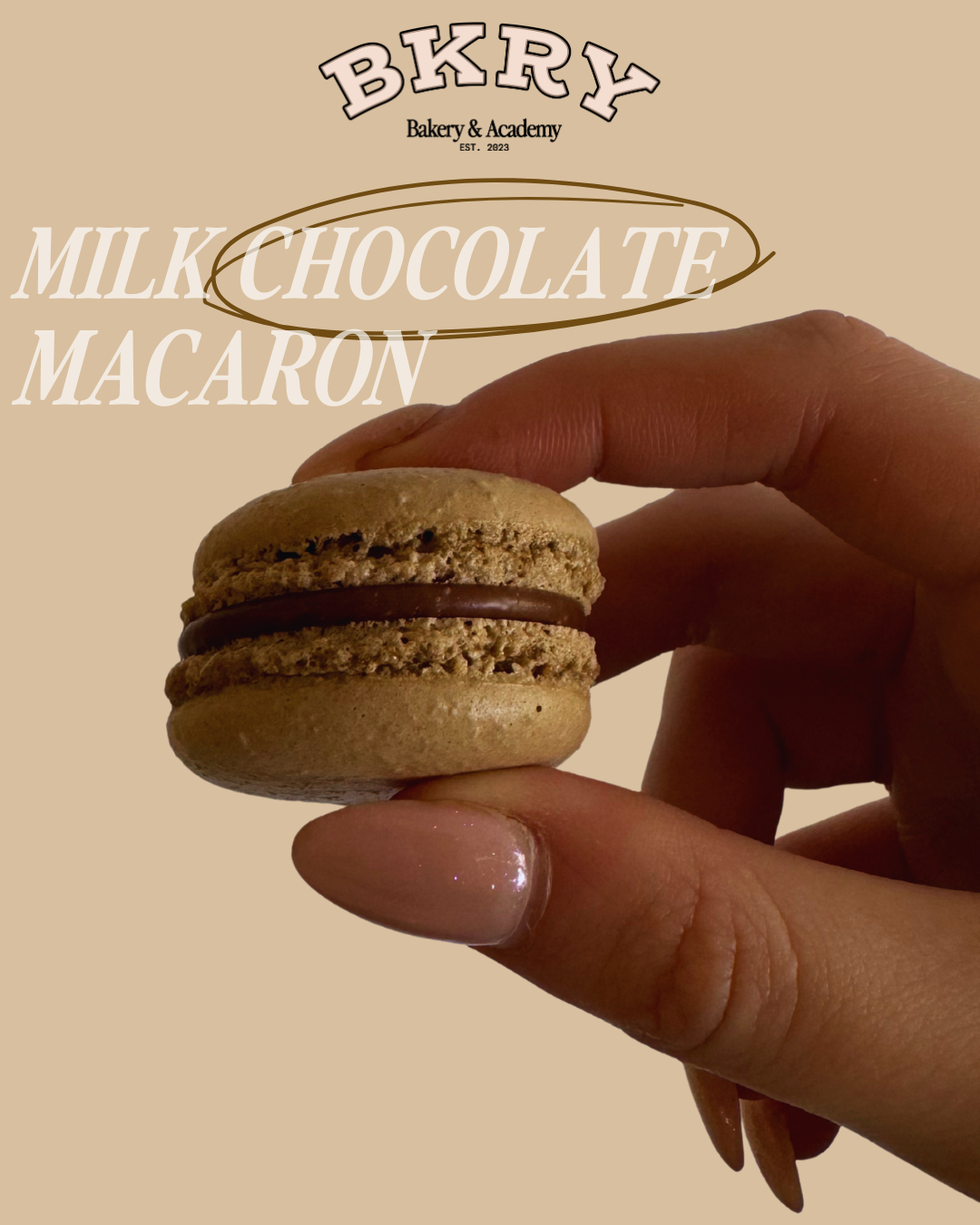 Winter Macarons