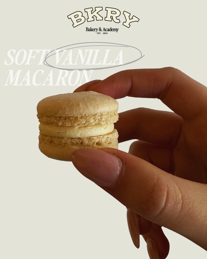 Winter Macarons